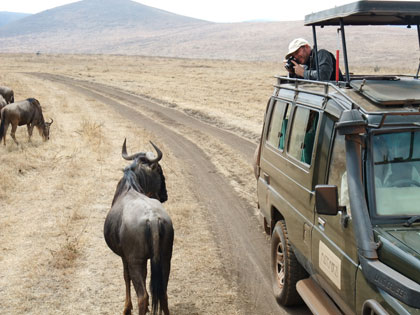 Mainland Safari